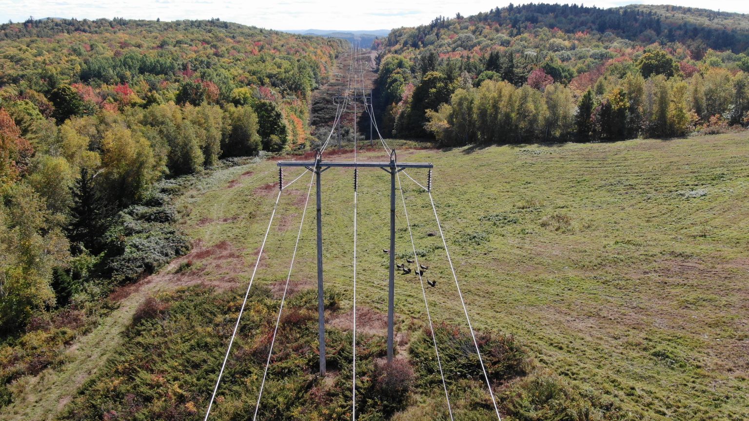 About Us Northeast Electrical Contractors Coutts Brothers, Inc.